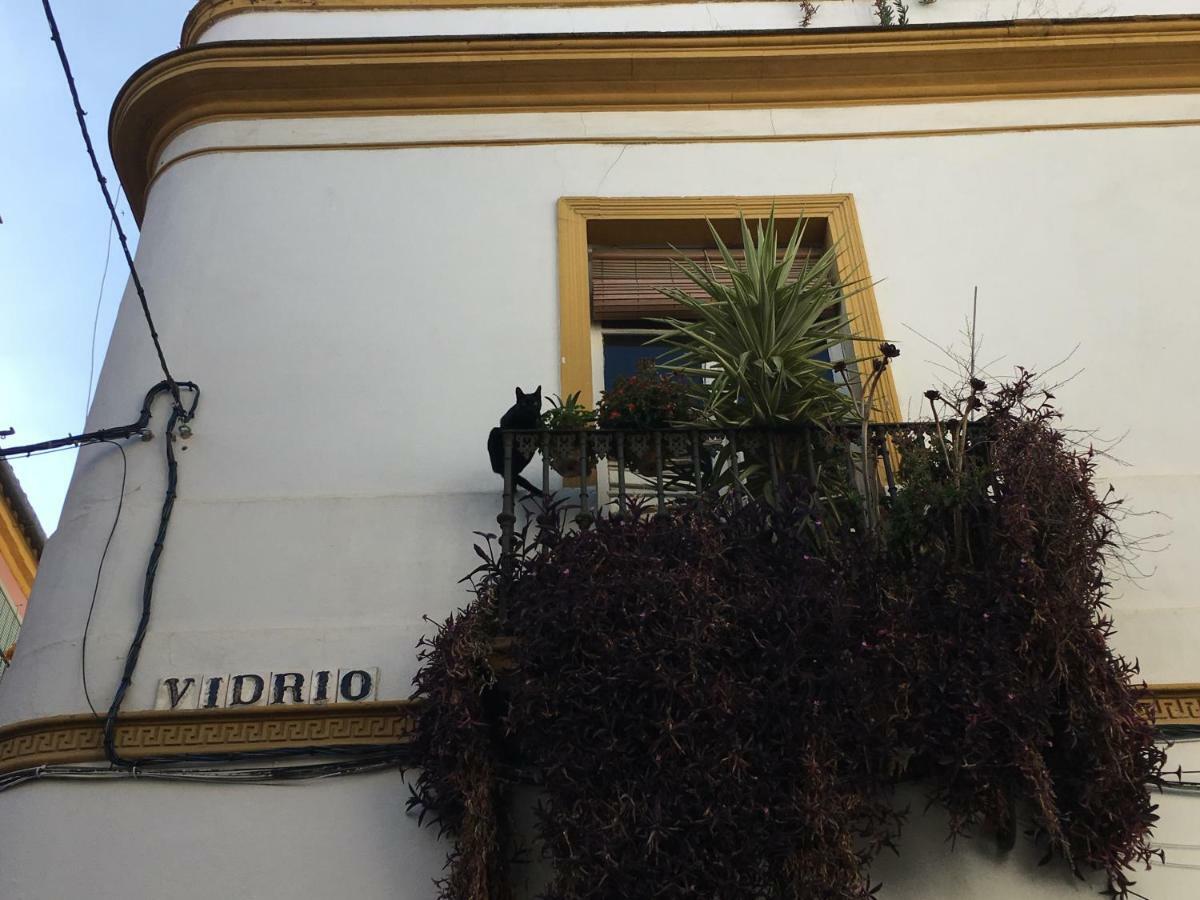 Appartement Vidrio